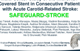TCT 313: A Multi-Center Study of the Micronet-Covered Stent in Consecutive Patients With Acute Carotid-Related Stroke: SAFEGUARD-STROKE