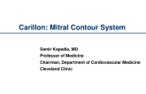 The Carillon Mitral Contour System