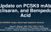 Applying New LDL-C Lowering Agents: Update on PCSK9mab, Inclisaran, and Bempedoic Acid