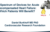 The Spectrum of Devices for Acute Decompensated Heart Failure: Which Patients Will Benefit?