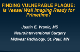 Finding Vulnerable Plaque: Is Vessel Wall Imaging Ready for Primetime?