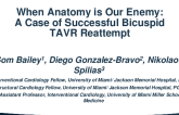 When Anatomy Is Our Enemy: A Case of Successful Bicuspid TAVR Reattempt