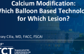 Which Balloon Based Technology for Which Lesion