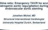 Ultima Ratio: Emergency TAVR for Acute Iatrogenic Aortic Regurgitation During Endovascular Aortic Stenting
