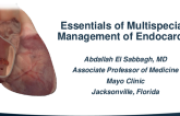 Keynote Lecture: Essentials of Multispecialty Management of Endocarditis