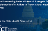TCT 951: Is the Pinwheeling Index a Potential Surrogate for Accelerated Leaflet Failure in Transcatheter Heart Valves?