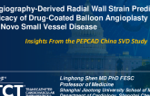 TCT 440: Angiography-Derived Radial Wall Strain Predicts Efficacy of Drug-Coated Balloon Angioplasty for De Novo Small Vessel Disease: Insights From the PEPCAD China SVD Study