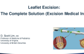 Leaflet Excision: The Complete Solution (Excision Medical Inc)