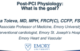 Post-PCI Physiology: What Is the Goal?