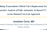 Streamlining Transcatheter Mitral Valve Replacement Screening: A Comparative Analysis of Fully Automatic AI-Based CT Analysis Versus Manual Core-Lab Approach