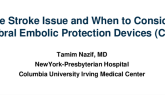 The Stroke Issue and When to Consider Cerebral Embolic Protection Devices (CEPD)