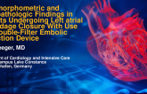 Histomorphometric and Histopathologic Findings in Patients Undergoing Left Atrial Appendage Closure With Use of a Double-Filter Embolic Protection Device