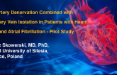 TCT 3: Renal Artery Denervation Combined with Pulmonary Vein Isolation in Patients with Heart Failure and Atrial Fibrillation - Pilot Study