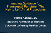 Imaging Guidance for Transseptal Puncture: TEE and ICE