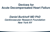 Devices for Acute Decompensated Heart Failure