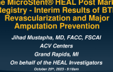TCT 270: The MicroStent® HEAL Post Market Registry - Interim Results of BTK Revascularization and Major Amputation Prevention  