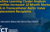TCT 210: Machine Learning Cluster Analysis Identifies Increased 12-Month Mortality Risk in Transcatheter Aortic Valve Replacement Recipients