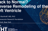 Back to Normal? Reverse Remodeling of the Left Ventricle