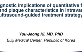 TCT 342: Prognostic Implications of Quantitative Flow Ratio and Adverse Plaque Characteristics in Intravascular Ultrasound-Guided Revascularization Strategy