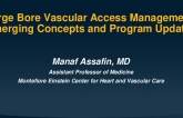 Large Bore Vascular Access Management: Emerging Concepts and Program Updates