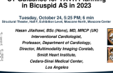 CT Guidance for TAVR Planning in Bicuspid AS in 2023