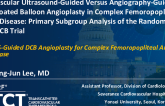 Intravascular Ultrasound-Guided Versus Angiography-Guided Drug-Coated Balloon Angioplasty in Complex Femoropopliteal Artery Disease: Primary Subgroup Analysis of the Randomized IVUS-DCB Trial