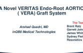 TCT 31: Veritas: A Novel Endovascular Aortic Root and Total Arch Stent-Graft Replacement System