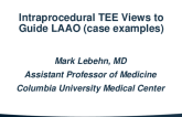 Key Imaging Requirements and Intraprocedural TEE Views to Guide LAAO (Case Examples)
