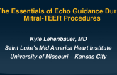 The Essentials of Echo Guidance During Mitral-TEER Procedures