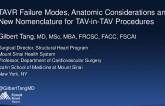 TAVR Failure Modes, Anatomic Considerations and New Nomenclature for TAV-in-TAV Procedures