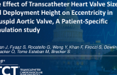 TCT 138: The Effect of Transcatheter Heart Valve Size and Deployment Height on Eccentricity in Bicuspid Aortic Valve: A Patient-Specific Simulation Study