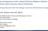Clinical Experience With a Novel Perfusion Balloon Catheter in Patients With Coronary Artery Perforation: Primary Results From the Ringer Clinical Study