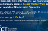 TCT 353: The Diagnostic Role of Myocardial Work Analysis in Stable Coronary Disease: Global Wasted Work as a Novel Important Non-Invasive Parameter