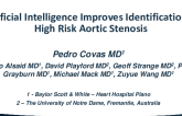 AI-Powered Cardiac Ultrasound Improves Identification of High-Risk Aortic Stenosis (EchoIQ)