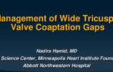 Topic 5: Management of Wide TV Coaptation Gaps