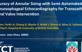 TCT 80: Accuracy of Annular Sizing Using Semi-automated 4D Transesophageal Echocardiography for Transcatheter Mitral Valve Replacement.