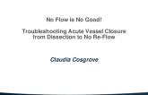 No Flow is No Good! Troubleshooting Acute Vessel Closure from Dissection to No Re-Flow