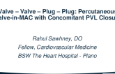 Valve – Valve – Plug – Plug: Percutaneous Valve-in-MAC with Concomitant PVL Closure