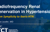 Radiofrequency Renal Denervation in Hypertension – From Symplicity to Iberis HTN