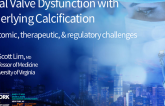 Mitral Valve Dysfunction With Underlying Calcification (including MAC): Anatomic, Therapeutic, and Regulatory Challenges
