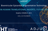 reBEAT: Biventricular Epicardial Augmentation Technology for HF Patients: Introducing a Novel MCS Technology, First-in-Human Translational Insights, Strategy for Pivotal Trial and Market Entry