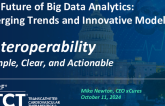 The Future of Big Data Analytics: Emerging Trends and Innovative Models