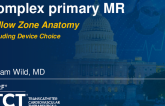 Case-Based Examples – Complex Primary MR, Yellow Zone Anatomy (Including Device Selection)