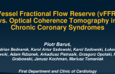 TCT 348: Three-Dimensional (3D) Quantitative Coronary Angiography (QCA)-Based Vessel Fractional Flow Reserve (vFFR) vs. Optical Coherence Tomography in Chronic Coronary Syndromes
