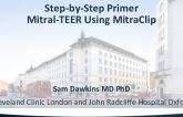 Step-by-Step Primer of Mitral-TEER Using MITRACLIP (Case-Based)