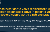 Transcatheter Aortic Valve Replacement Using a Balloon-Expandable Valve in Patients with Type-0 Bicuspid Aortic Valve Stenosis