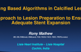 Imaging-Based Algorithms in Calcified Lesions: Approach to Lesion Preparation to Ensure Adequate Stent Expansion