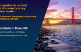 TCT 13: Metabolic Syndrome, a new predictor of coronary artery calcification burden: An Optical Coherence Tomography Study