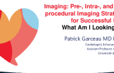 Imaging: Pre-, Intra-, and Post-procedural Imaging Strategies for Successful LAAO – What Am I Looking For?