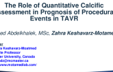 TCT 303: The Role of Quantitative Calcific Assessment in Prognosis of Procedural Events in TAVR